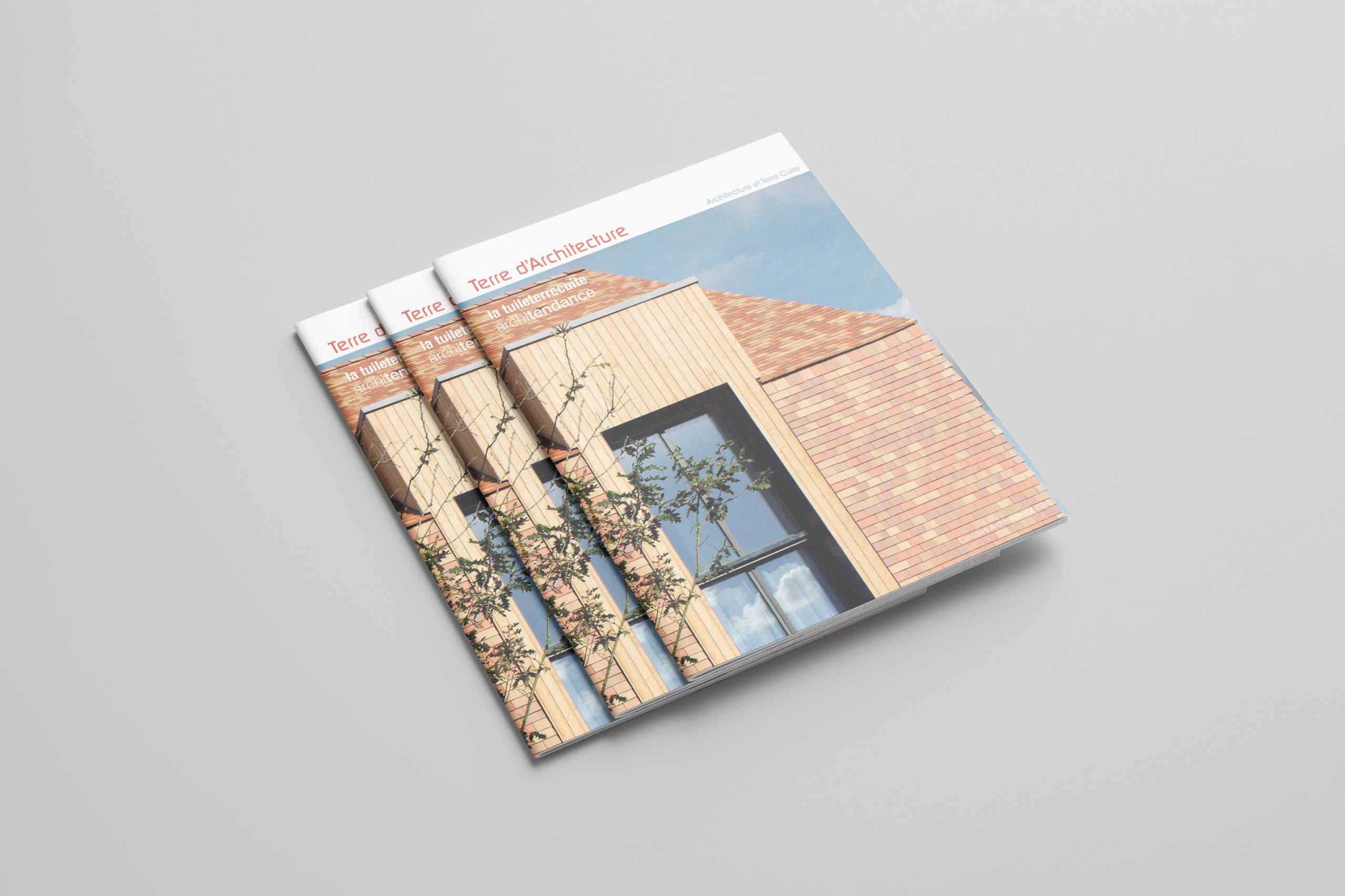 Terre d'Architecture n°15