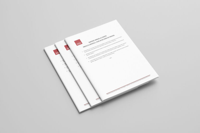 Rapport annuel 2025 AGFPN